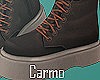Fall Brown Boots F