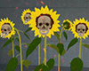 金 Skull Sunflowers