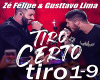 ZF&GL-  Tiro Certo