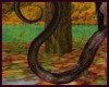 Snake Tail ~ 1