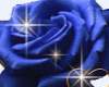 Blue rose & Heart