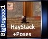 [BD]HayStack+Poses