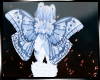 Aster Wings