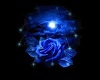blue rose candles