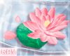 [Animated] Lótus