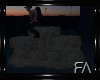 Hay Stack + Poses