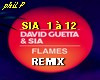 SIA - Flames - remix