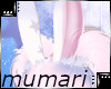 Snuie Ears 4