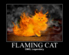 flaming kitten