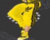 [M1105]  YellowPnt