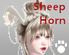 Sheep Horn Flower