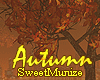 Autumn_Romantic Bench
