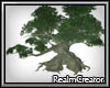 |RC|Great Tree