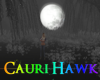 D Haunted Willows 3