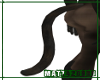 Black Cat Furr Tail