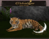 Animated Tiger DRV