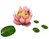 Animated Lily Pad Bed 3