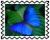 BLUE BUTTERFLY STAMP