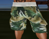 Hawaiian Casual Shorts