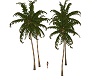 Alladins palmtrees