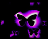 animated butterfly pic