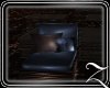 ~Z~Shades  Chair