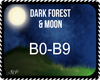 Dark Forest &Moon