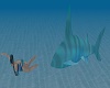 shark chase photo shot