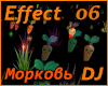 Morkov Effekt 06