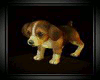 My Cute Beagle Puppy