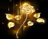 Light Roses