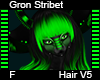 Gron Stribet Hair F V5