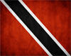 Trinidad Flag pocket