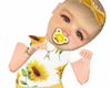 baby Arleth sunflower F