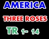 AMERICA - Tree Roses