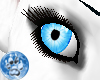 [S]Pltel Blue Eye {F}