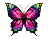 6v3| Monarch Butterfly