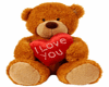 love you bear