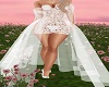 Lacy Wedding Dress