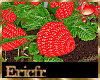 [Efr] Strawberry Plant S