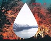 Clean Bandit "Tears"