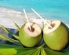 Coconut Drinks