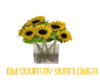 DW COUNTRY SUNFLOWER
