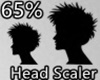 65% HEAD SCALER
