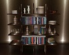 Suburbia Book Shelf