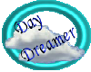 Day Dreamer Coin