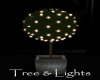 AV Tree & Lights