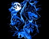 S.Q. - Liberty Net Wolf