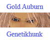 Golden Auburn Eyebrows