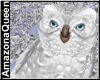 Winter Owl Pet